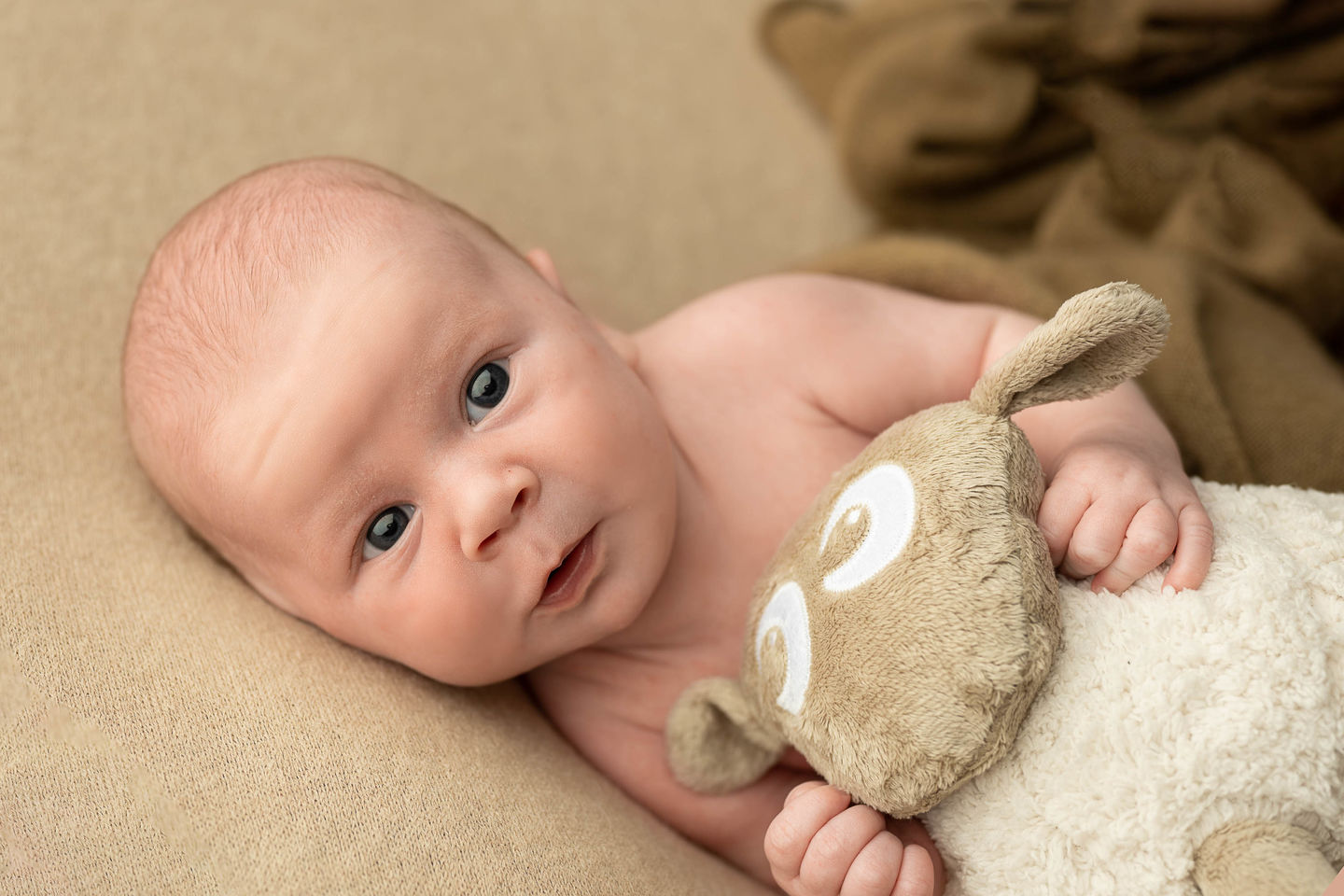 Customer photo review of ewan Deluxe | baby shushing sleep sheep | gray