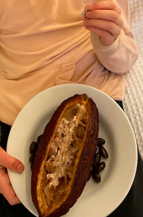 Customer photo review of Cacao (Chocolate) Box