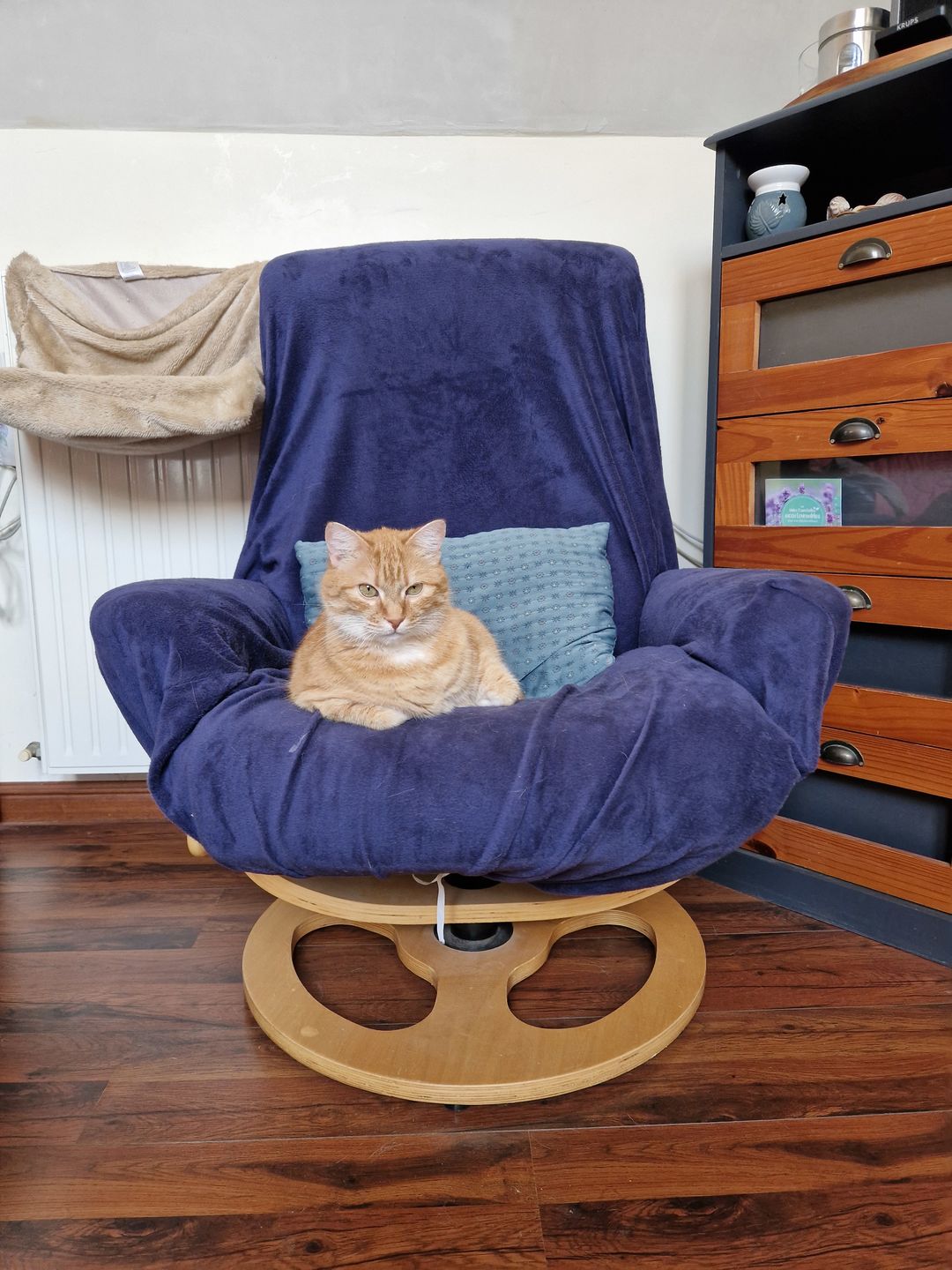Customer photo review of Bleu marine - Housses en velours Extensibles de Fauteuil et Canapé