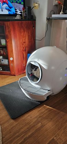 Customer photo review of PaWz Automatic Smart Cat Litter Box