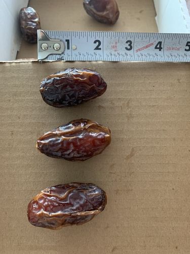 Customer photo review of Organic Medjool Dates Bulk Generic Box