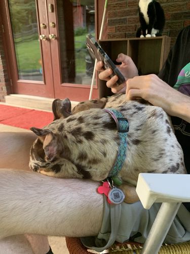 Customer photo review of Pink