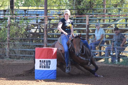 Customer photo review of OptiWize Collagen +Plus Horse Joint Supplement