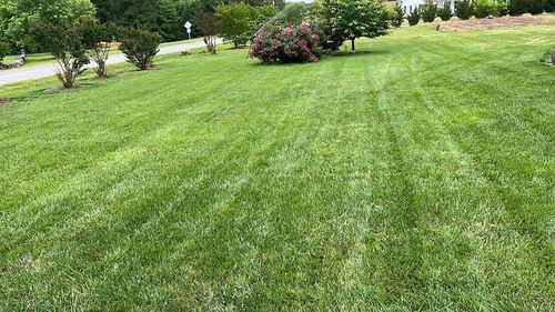 Customer photo review of GCI Turf 5-0-5
