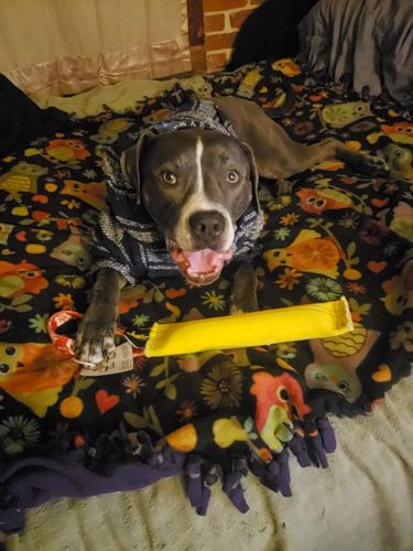 Customer photo review of Playa Poncho - Surprise Color