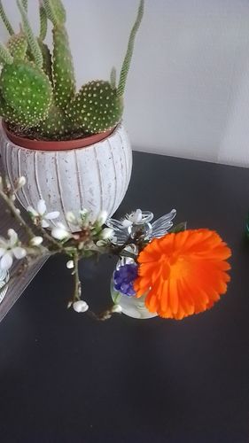 Customer photo review of Mon petit ange gardien