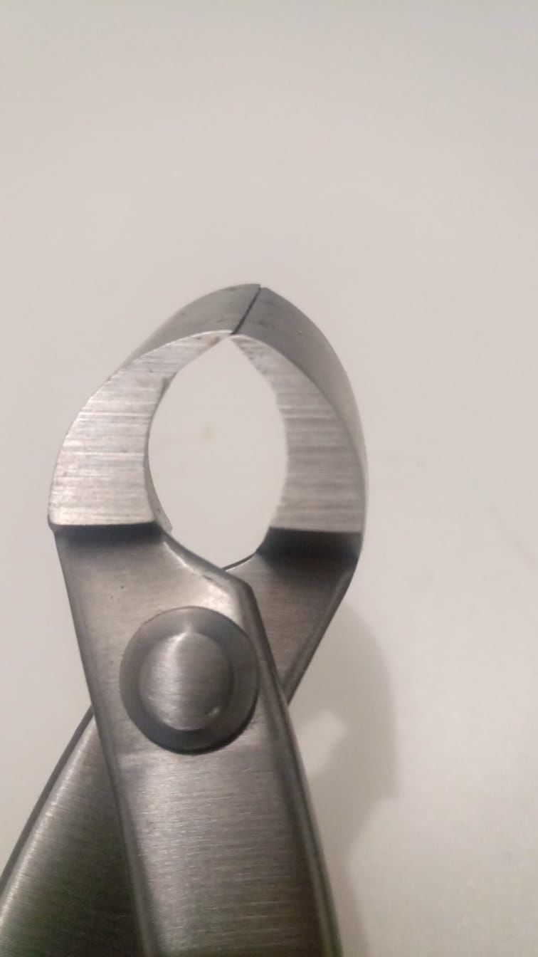 Customer photo review of TRONCHESE PROFESSIONALE CB® INOX 20,5 cm
