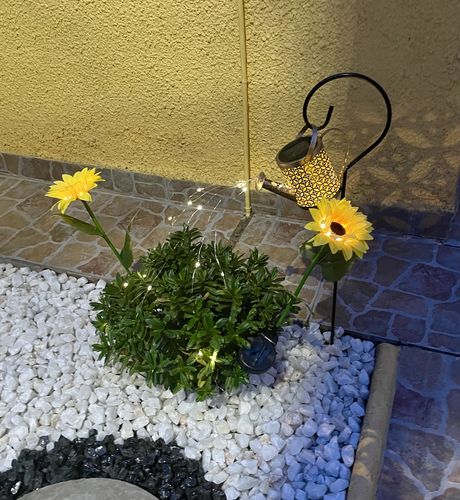 Customer photo review of Girasol Solar