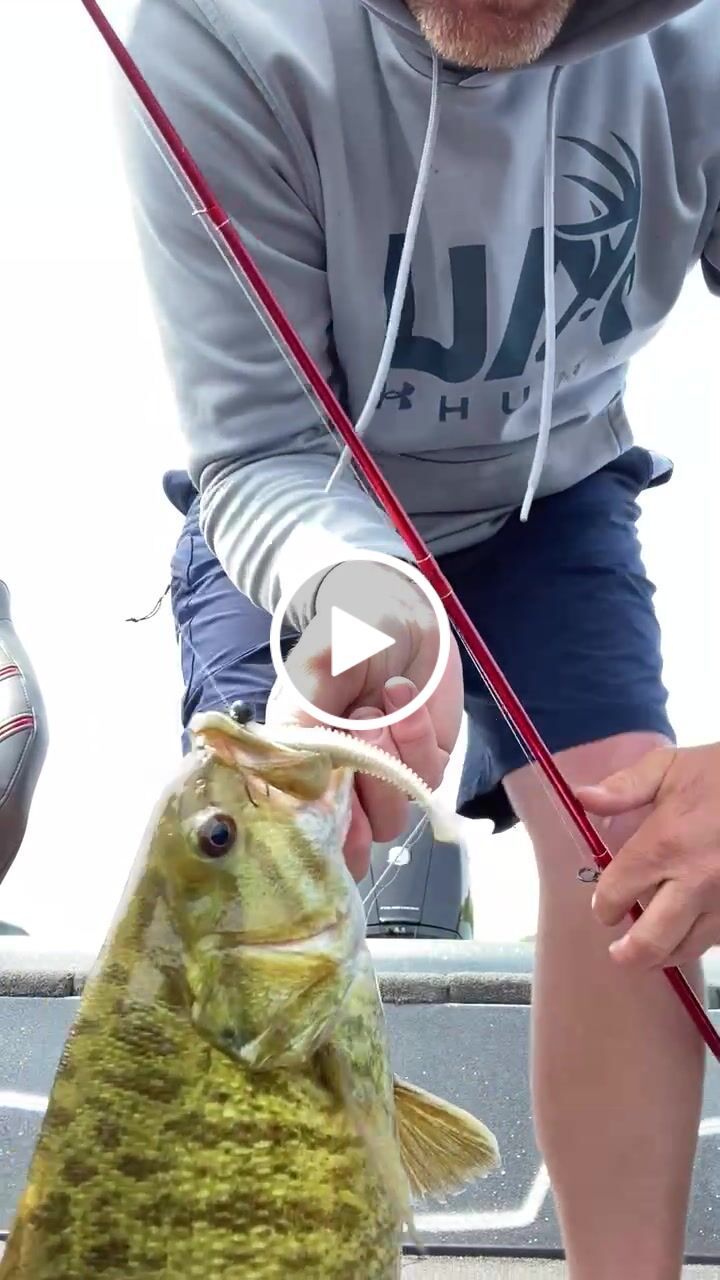Customer video review of 200% Sensitivity Tungsten Ball Jig Head | Bulk Pack
