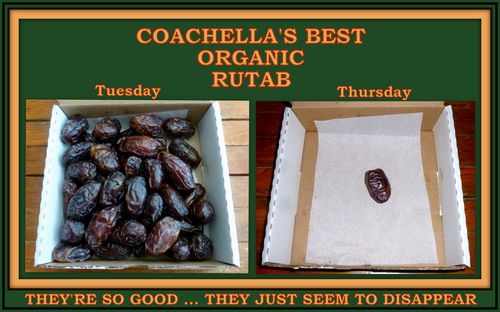 Customer photo review of Organic Rutab Medjool Dates Bulk Generic Box