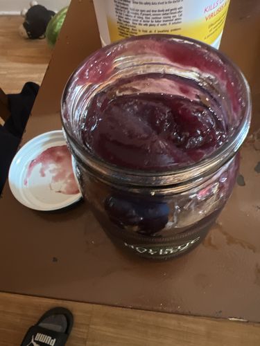 Customer photo review of Elderberry and Soursop Infused Sea Moss Gel