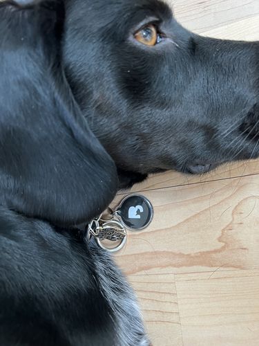 Customer photo review of Black