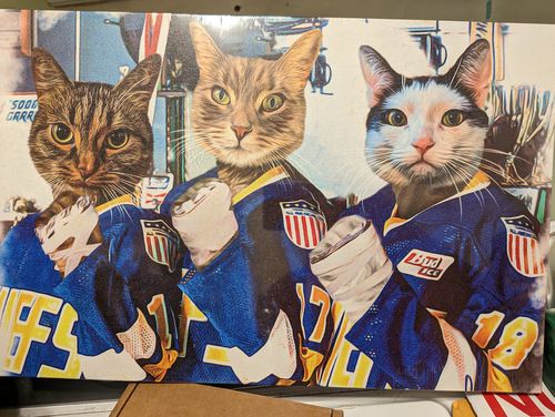Customer photo review of Submit Your Own Design: Canvas