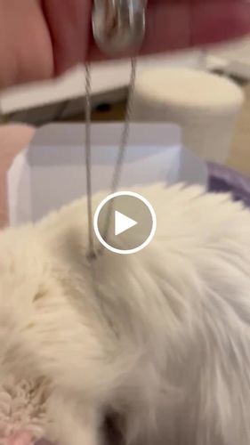 Customer video review of Gojo's Infinite Void Necklace