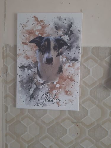 Amy V. review of Your Dog as Watercolor Portrait image 1 out of 1