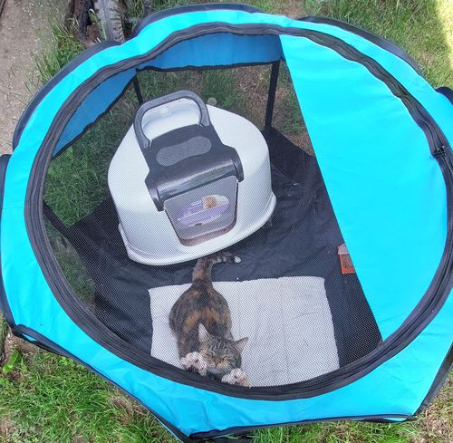 Customer photo review of Hordozható Kutya és Kisállat járóka, Kennel