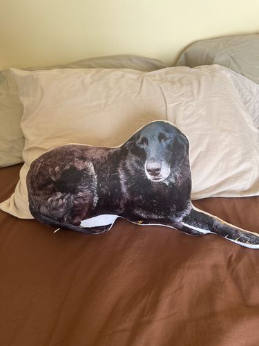 Customer photo review of Create A Custom Dog Pillow