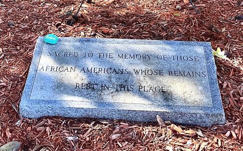 Customer photo review of Premium + Authentic Raw Shea Butter