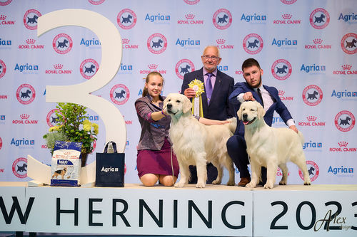 Customer photo review of I'm So Puffy Shampoo