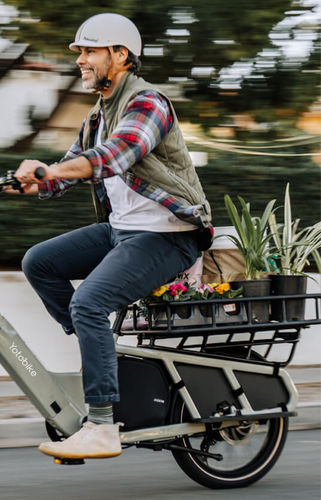 Customer photo review of Lion-Tea Green Step Thru Cargo Electric Bike