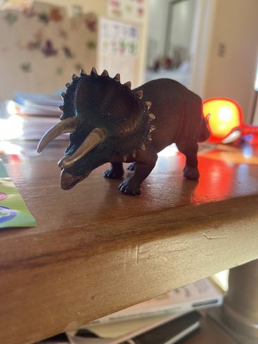 Customer photo review of Triceratops Coleccionable