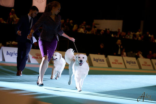 Customer photo review of I'm So Fantastic Conditioner