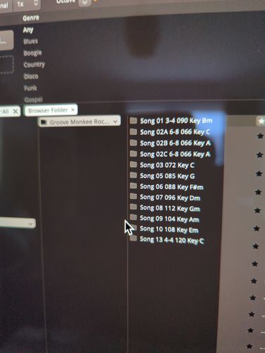 Customer photo review of Rock Songs Bass MIDI