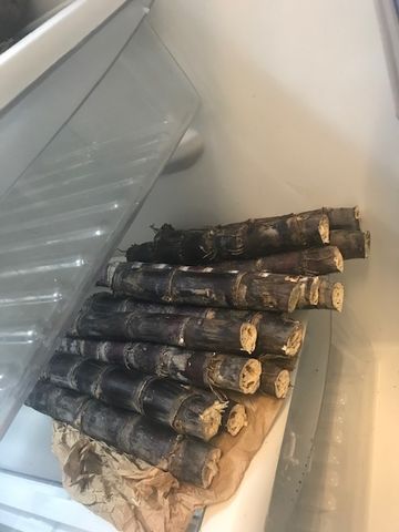 Customer photo review of Sugarcane *Pre-Order*