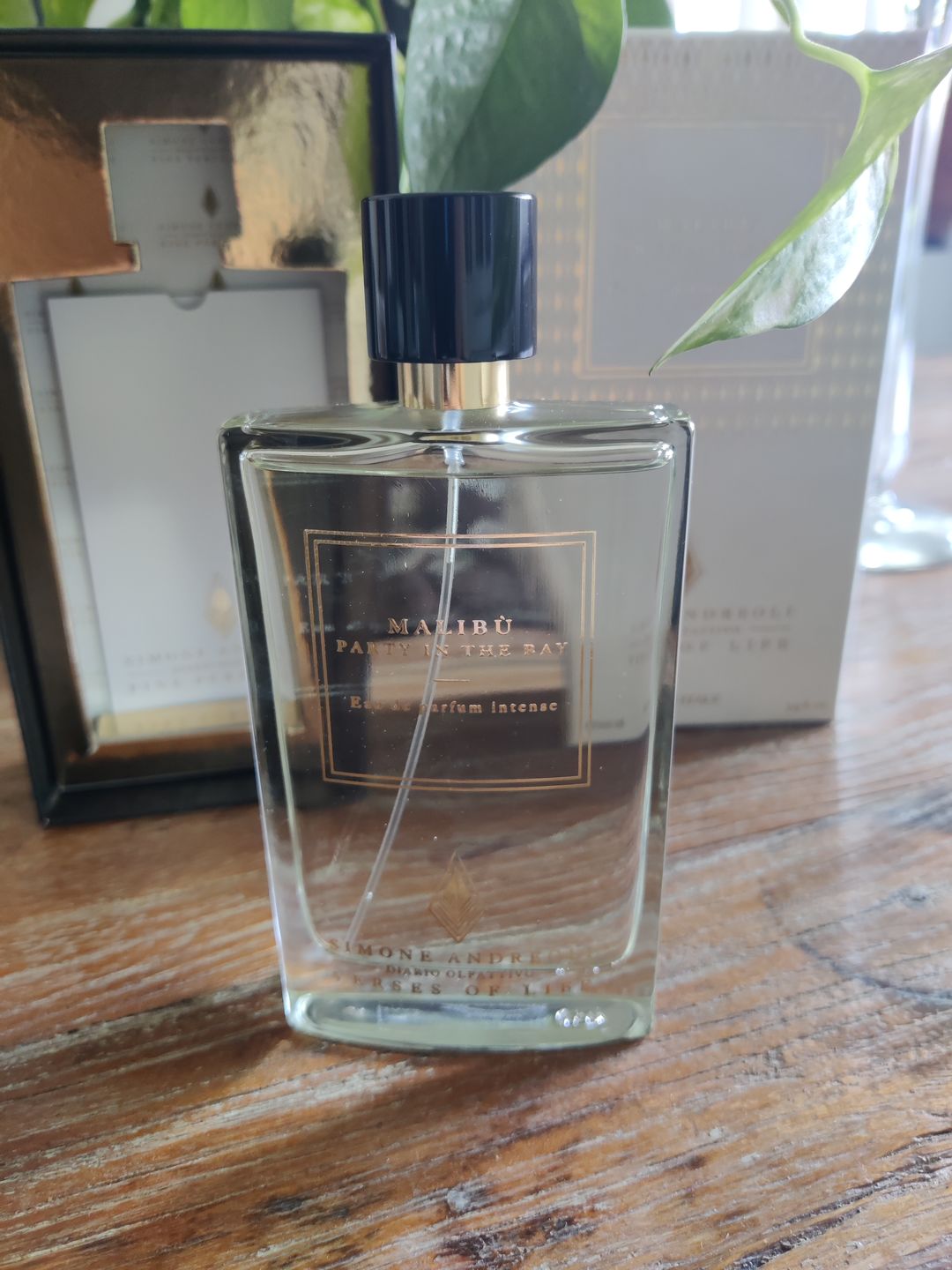 Customer photo review of SIMONE ANDREOLI - MALIBU PARTY IN THE BAY