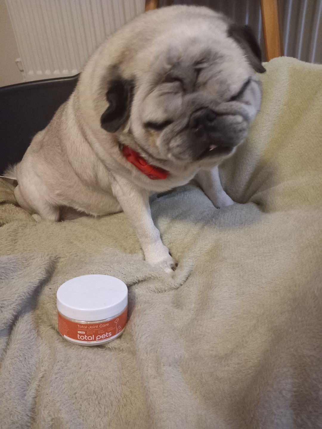 Customer photo review of Total Joint Care Supplement For Dogs