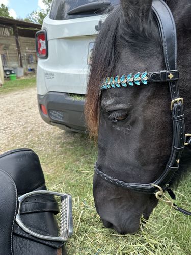 Customer photo review of Iris browband