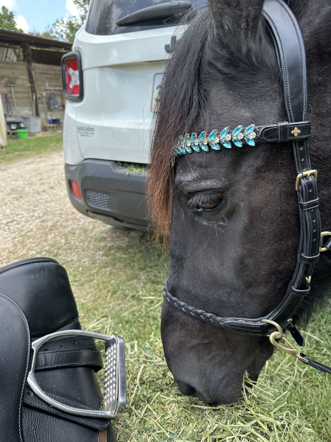 Customer photo review of Iris browband