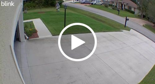 Customer video review of Endurant Perennial Rye