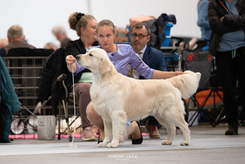 Customer photo review of So Sleek Finishing Cream