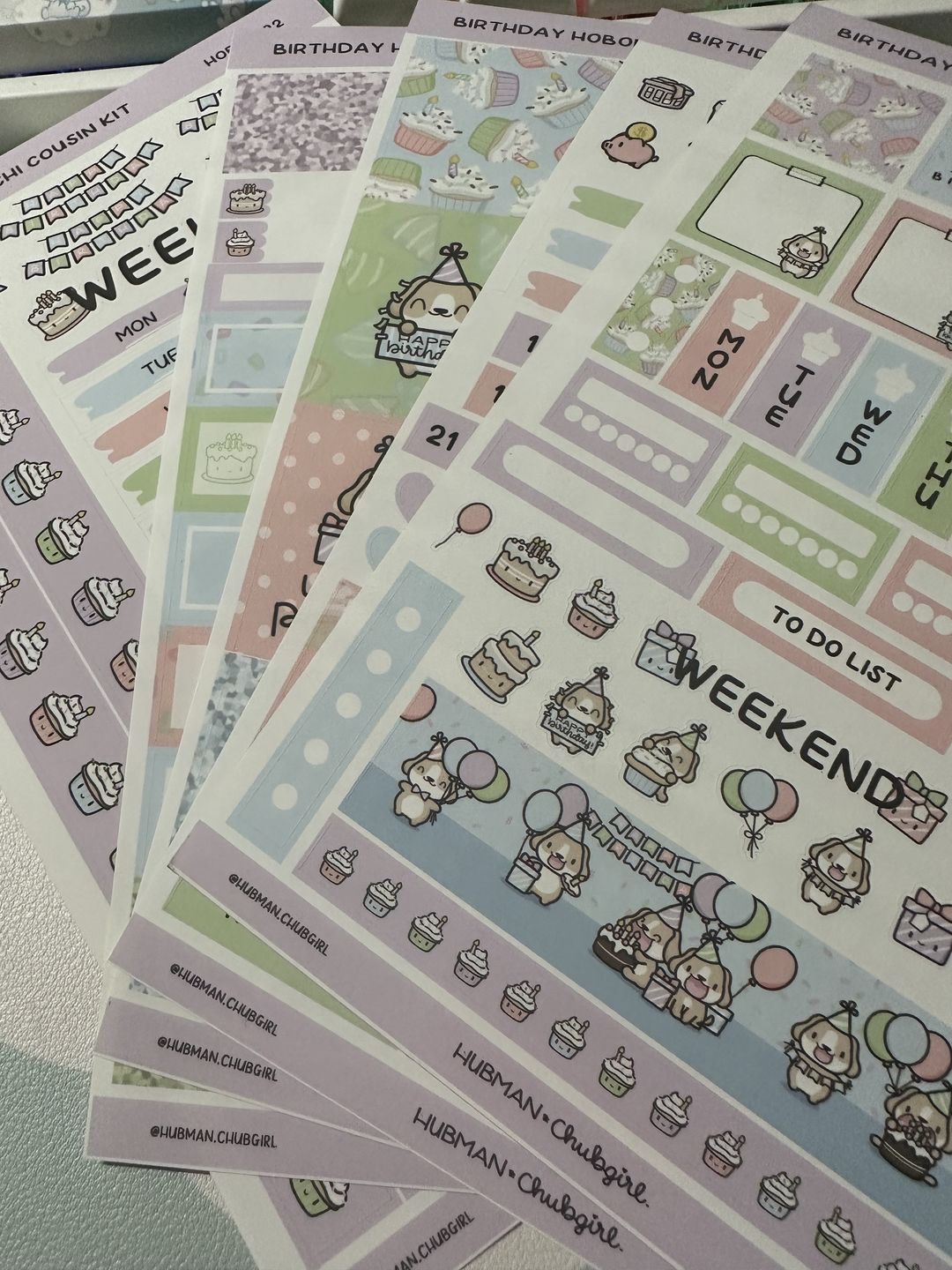 Customer photo review of Birthday Theme Hobonichi Weeks kit