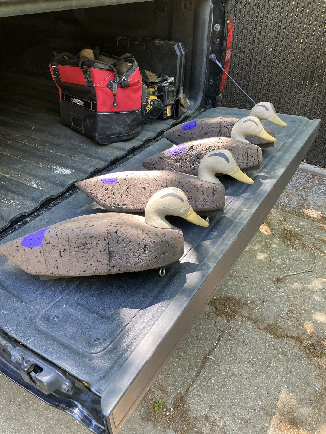 Customer photo review of Decoy Paint Kit - Small