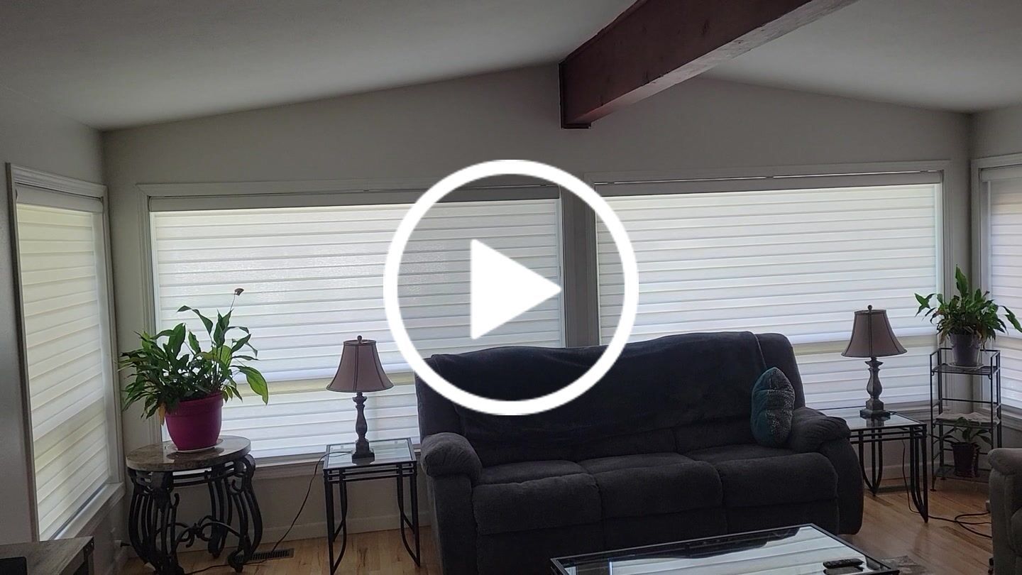 Customer video review of SmartWings Motorized Zebra Shades 60% Blackout Translucent 75mm