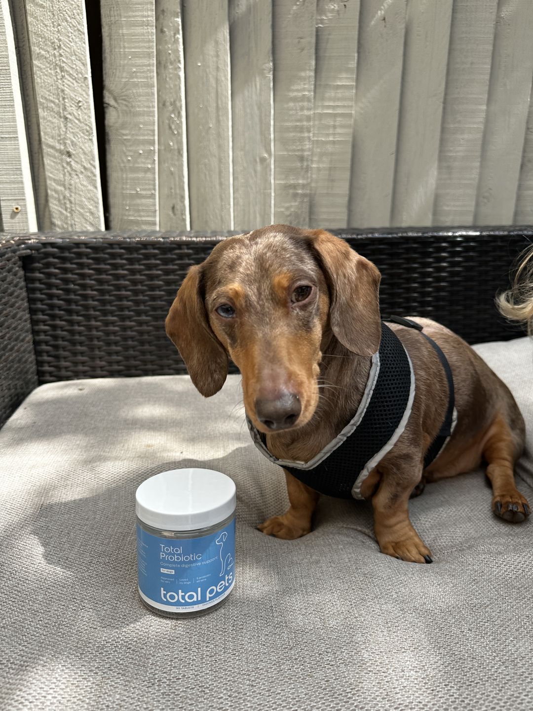 Customer photo review of Total Probiotic Tablets For Dogs
