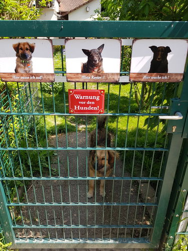 Customer photo review of Hunde Tür-Schild personalisiert mit Foto & Text (UV- und wetterfest)