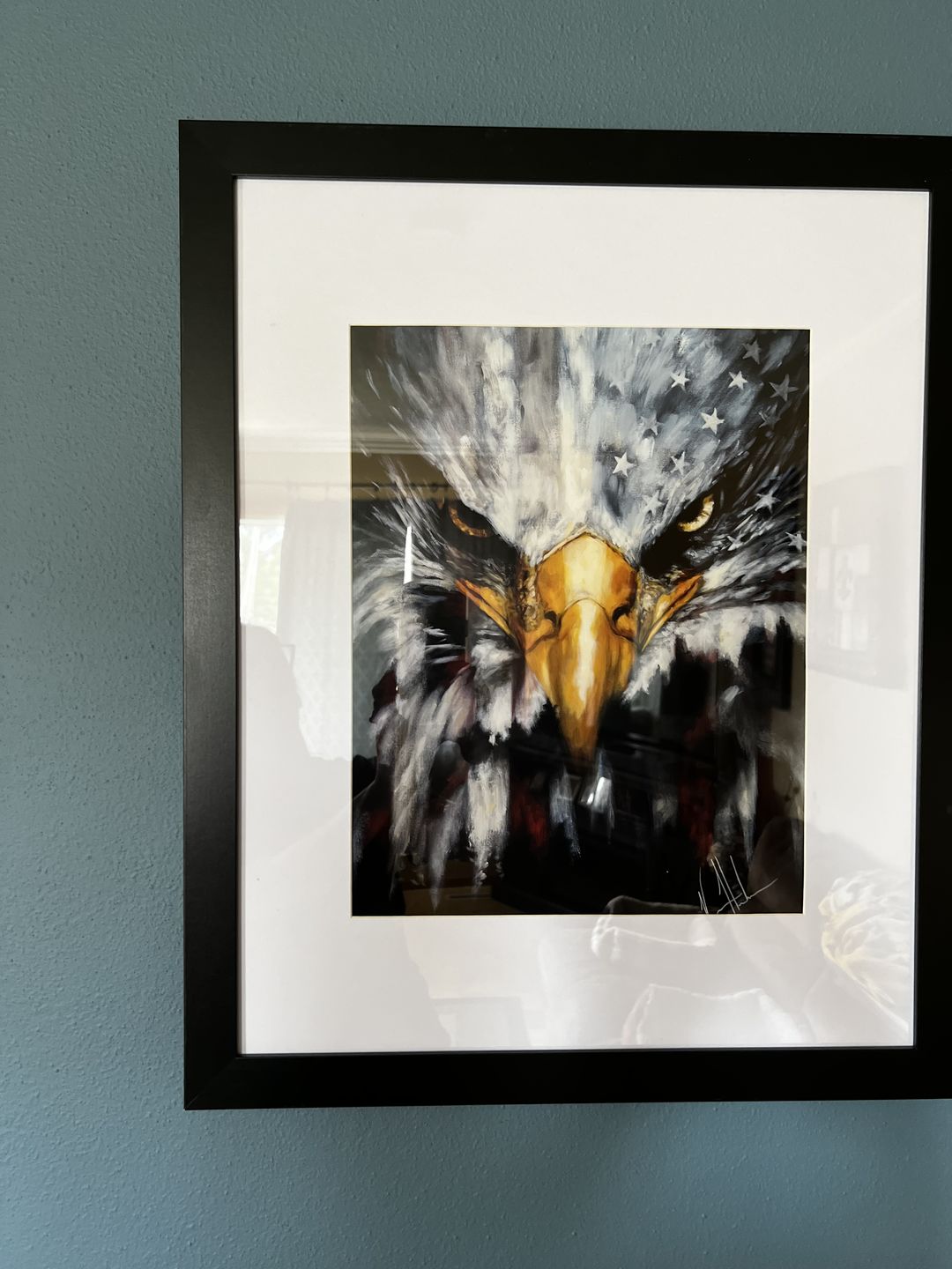 Customer photo review of Stripes of Freedom