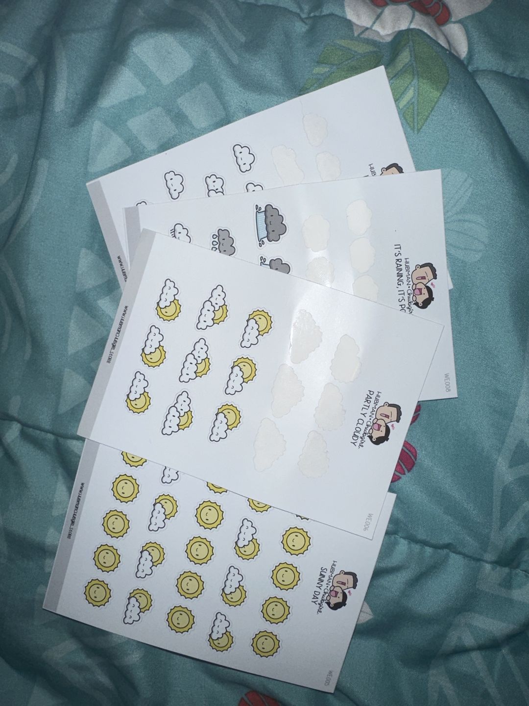 Customer photo review of Partly Cloudy Planner Stickers