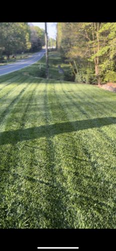 Customer photo review of Protene Performance Summer Fertilizer