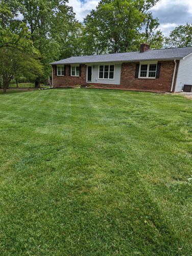 Customer photo review of N-Ext RGS Soil & Plant Stimulant