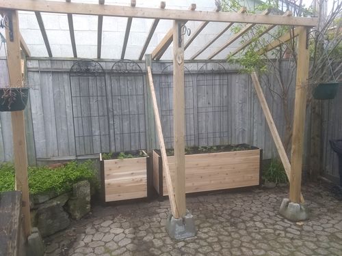 Customer photo review of 18" x 60" Planter Box - 24" Tall