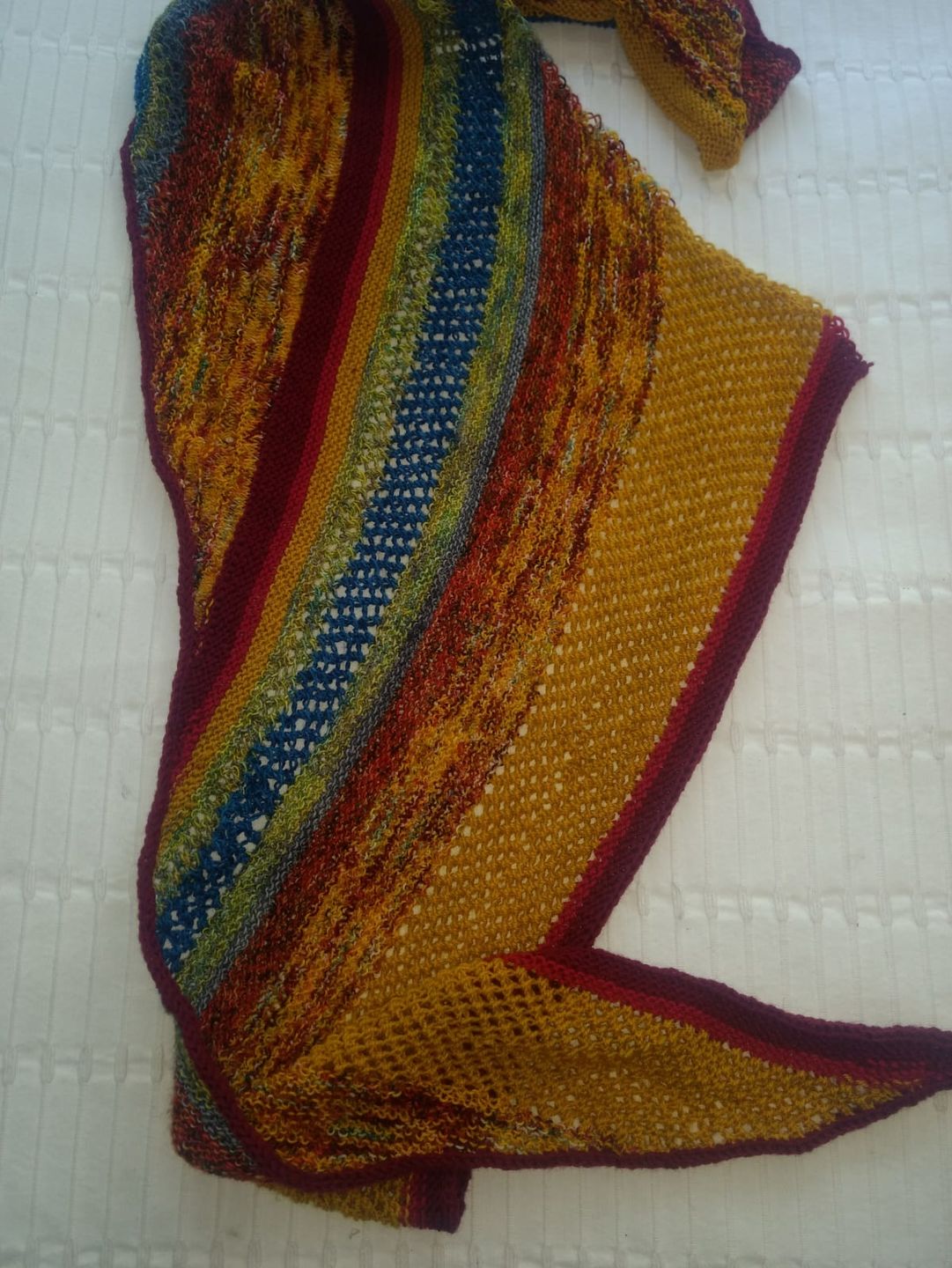 Customer photo review of Alegria  (75% Lana Merino Superwash / 25% Nylon)