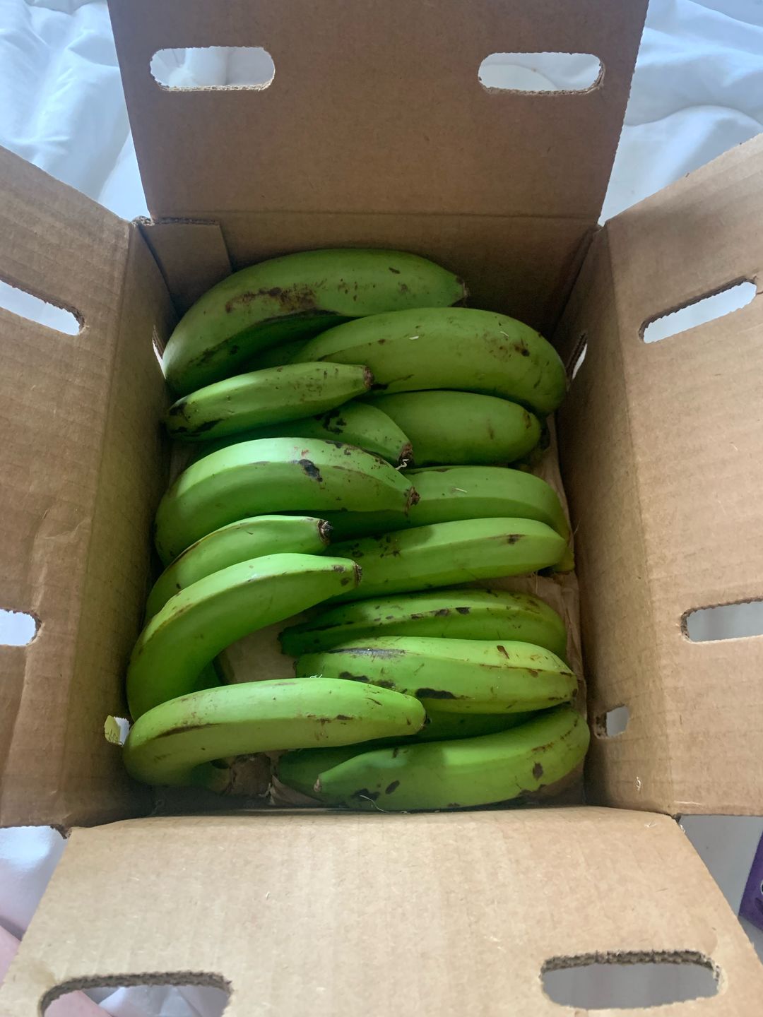 Customer photo review of Gros Michel Banana Box