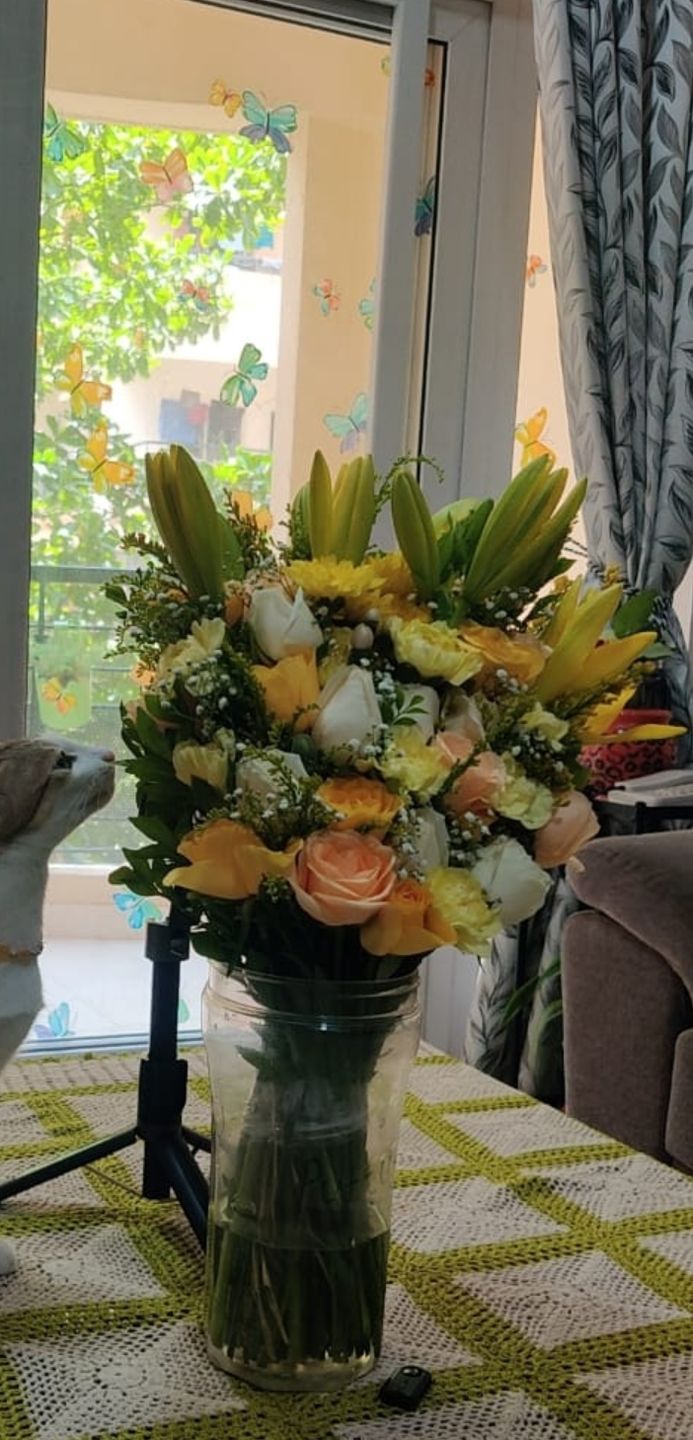 Customer photo review of Mellow Yellow