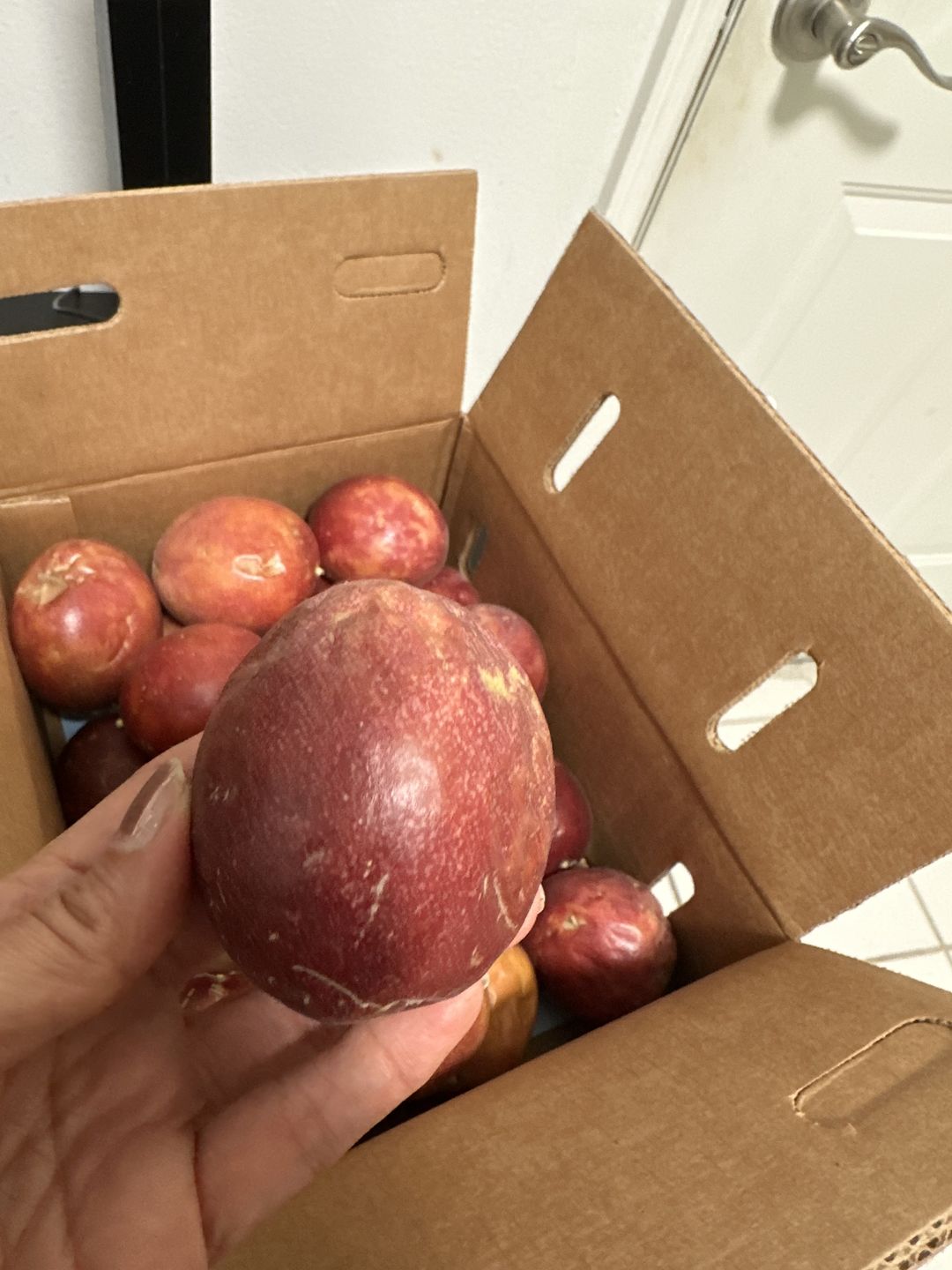 Customer photo review of Purple/Pink Passionfruit (Lilikoi) Box