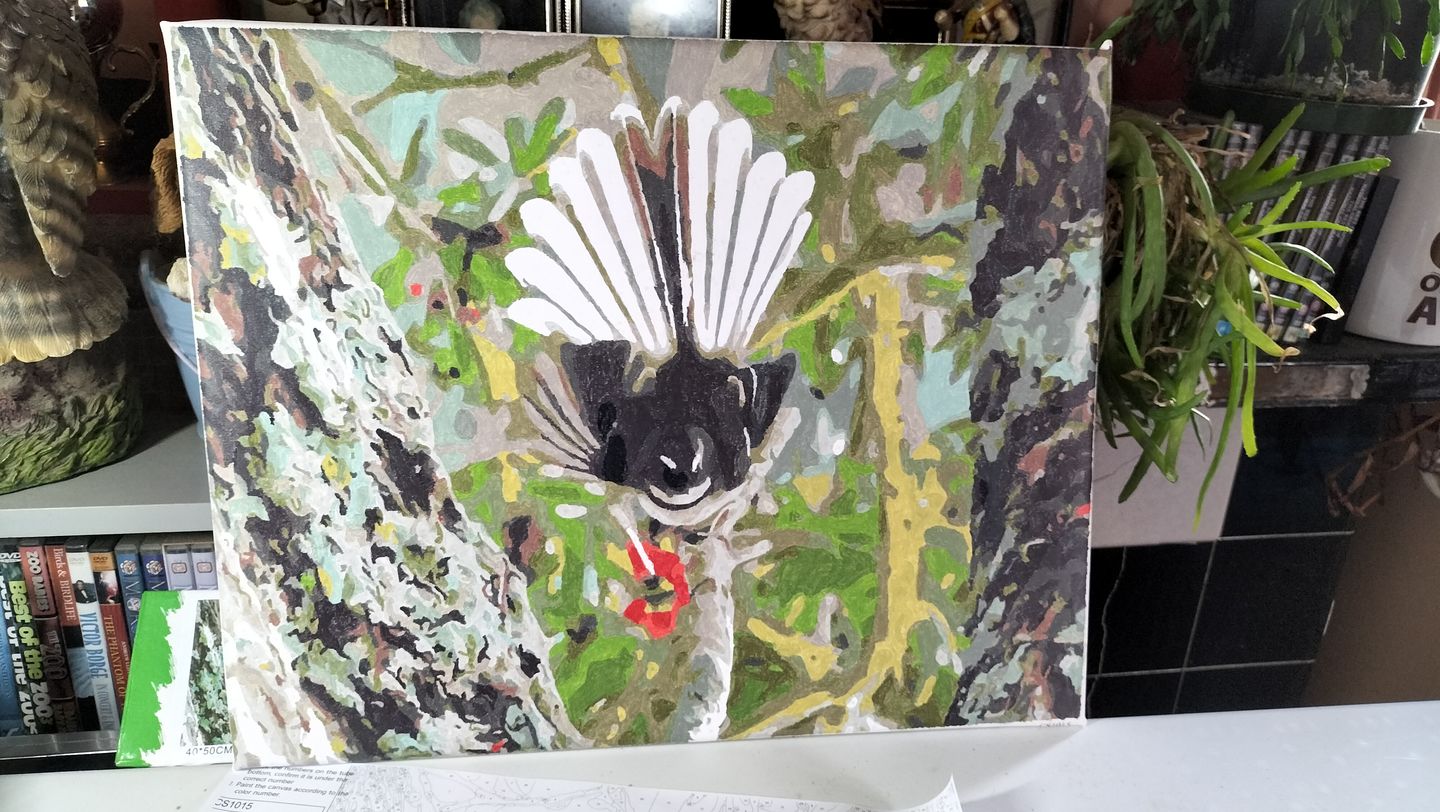 Customer photo review of Fantail - Piwakawaka