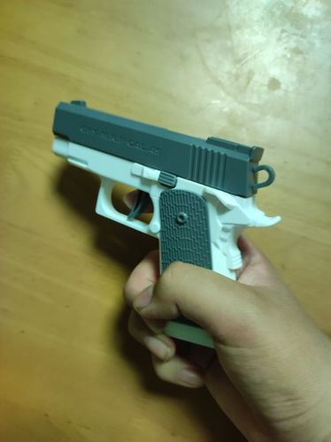 Customer photo review of G****k Water Gun